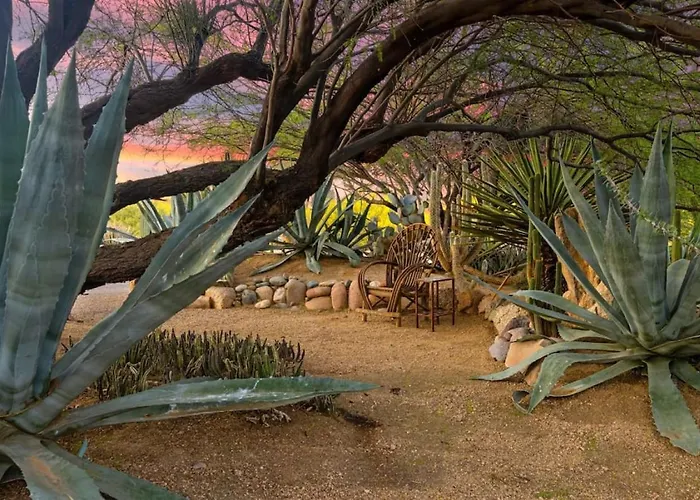 Healing House Heated Pool Desert Oasis Holiday home Cave Creek